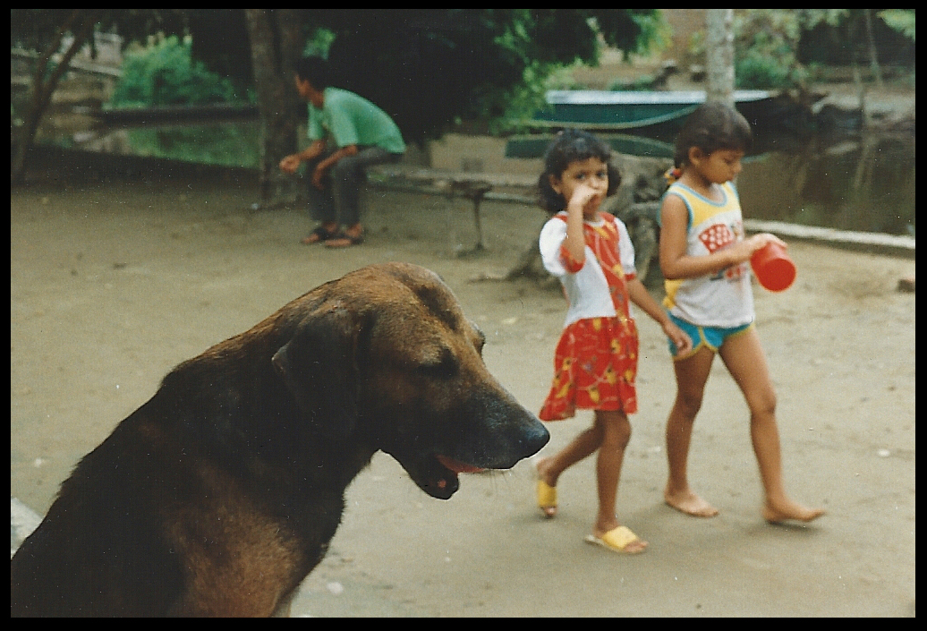 Yazm&iacute;n's dog, 2 little
              girls on camino, the canal, and the neighborhood men's
              bench