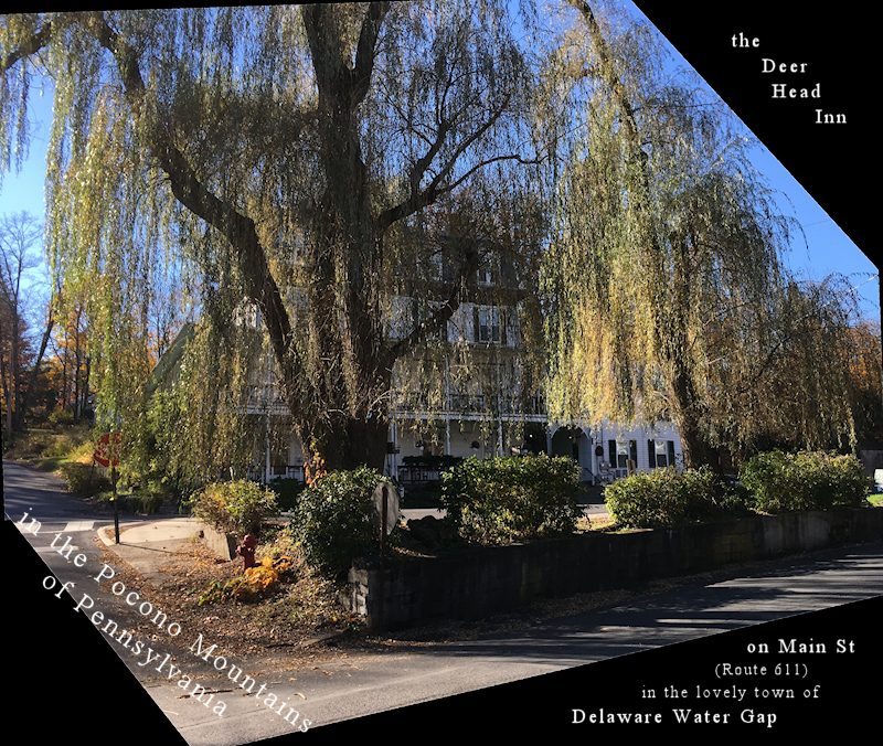 lovely old Poconos inn
              seen through a weeping willow