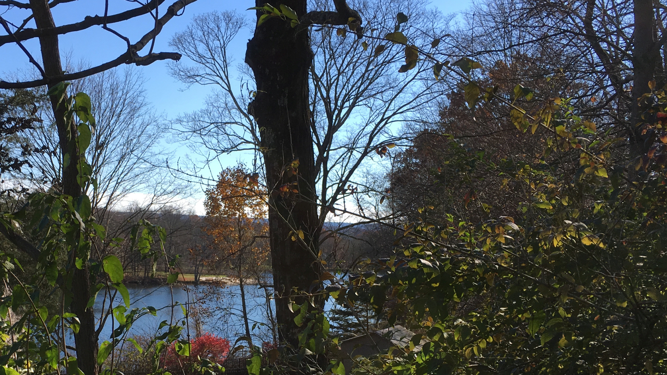 Spring Lake seen from
              the lower yard of the former Lorenzo residence
