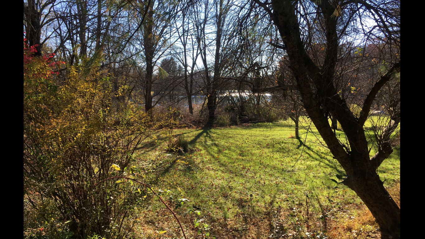 woods,
                  lake and meadow of Spring Lake, East Stroudsburg, Pa.
